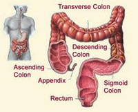 Colon Cleansing