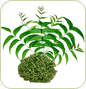 Organic Neem