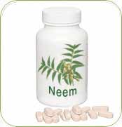 Neem Capsules