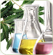 Neem vs Chemical