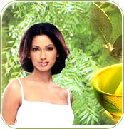 Neem Hair Conditioner