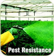 Pest Resistance